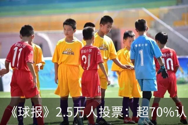 《球报》2.5万人投票：超70%认为C罗已不具备重返国家队条件