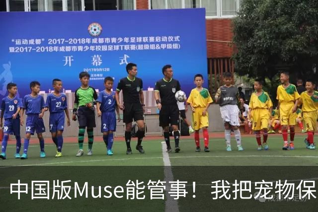 中国版Muse能管事！我把宠物保单、双11算价和周末旅行全交给了灵光2.0