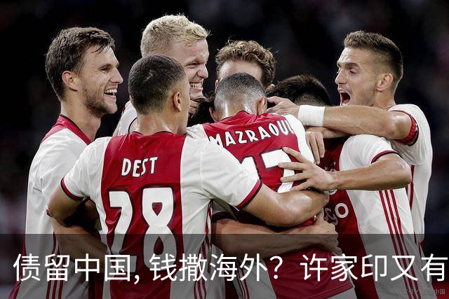 债留中国, 钱撒海外？许家印又有重大资产被挖, 捐哈佛12亿冰山一角