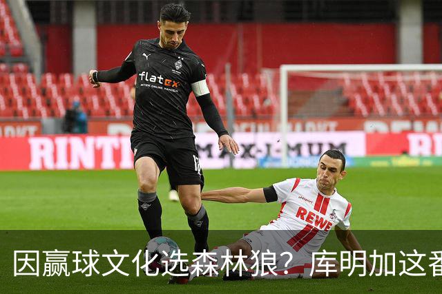 因赢球文化选森林狼？库明加这番话让全网炸了
