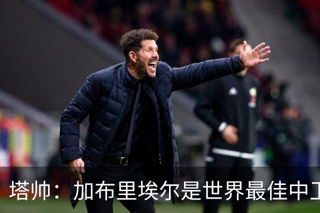 塔帅：加布里埃尔是世界最佳中卫之一，他在两个禁区的作用太强了