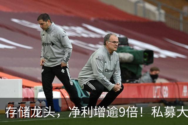 存储龙头，净利增逾9倍！私募大佬重仓未动