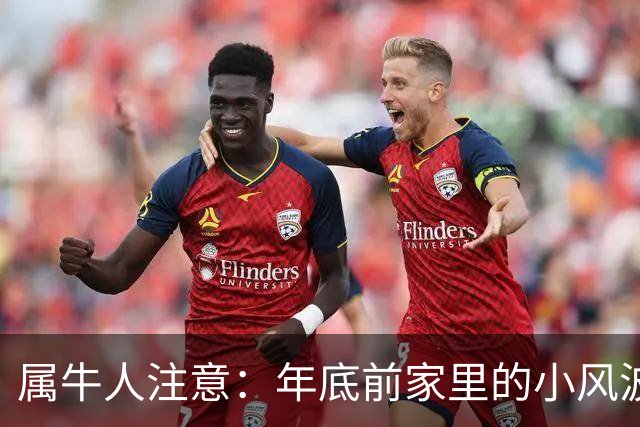 属牛人注意：年底前家里的小风波，其实是亲家关系升温的好兆头
