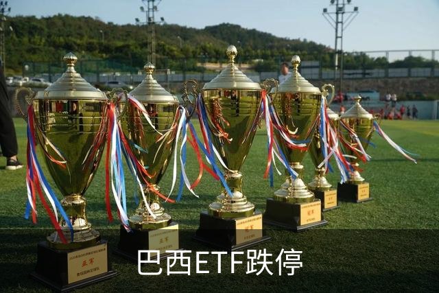 巴西ETF跌停