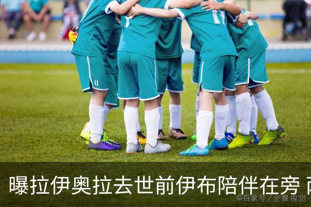 曝拉伊奥拉去世前伊布陪伴在旁 两人合作多年