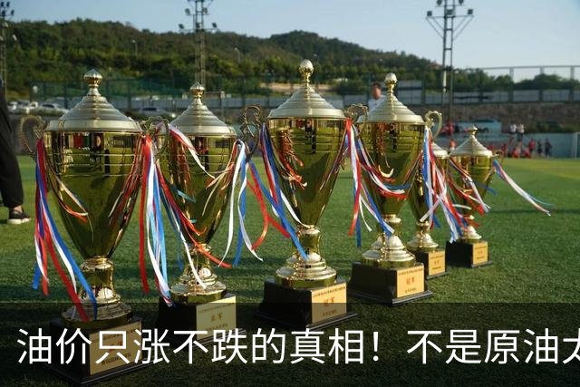 油价只涨不跌的真相！不是原油太贵，是几千万电车没人交养路费
