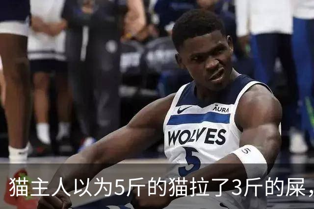 猫主人以为5斤的猫拉了3斤的屎，直到调取监控才发现