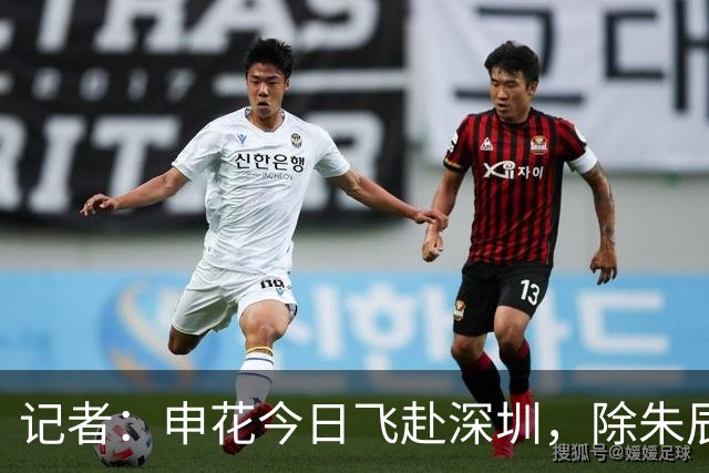 记者：申花今日飞赴深圳，除朱辰杰盖伊等伤员外几乎全员出征